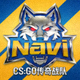 Natus Vincere电子竞技俱乐部Logo - CS:GO传奇战队标识