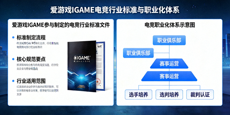 爱游戏IGAME参与制定的电竞行业标准文件与职业化体系示意图