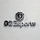G2 Esports战队官方Logo - 欧洲英雄联盟冠军电竞俱乐部标识